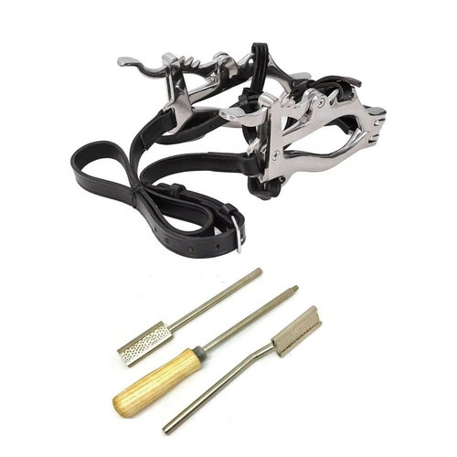 Equine horse dental - equine,