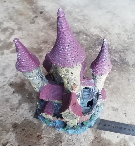 Castle fish tank aquarium