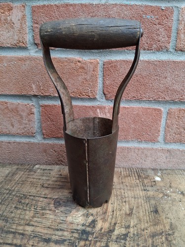 Wolf tools garden bulb - garden, planter