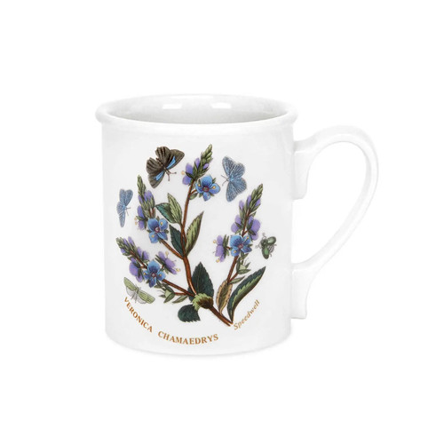 Portmeirion botanic garden - portmeirion,