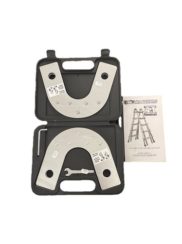 Gorilla ladder 1 with - gorilla, in