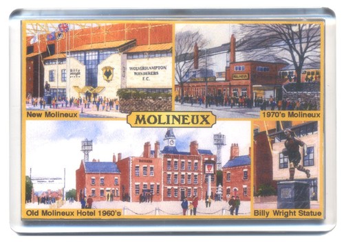 Wolverhampton wanderers wolves - wolverhampton,