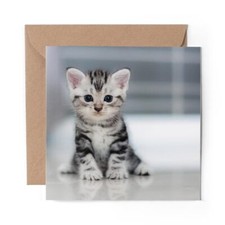 1 x Blank Greeting Card Grey