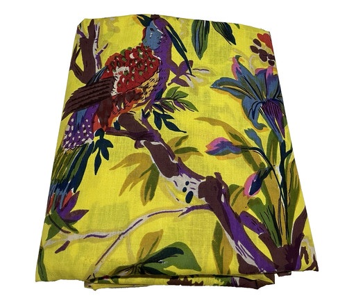 Yard indian yellow bird - 2,