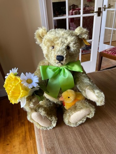 Steiff dylan spring - steiff, bear