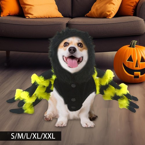 Spider dog costume accessories - dog,