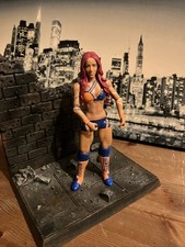WWE Sasha Banks Wrestling