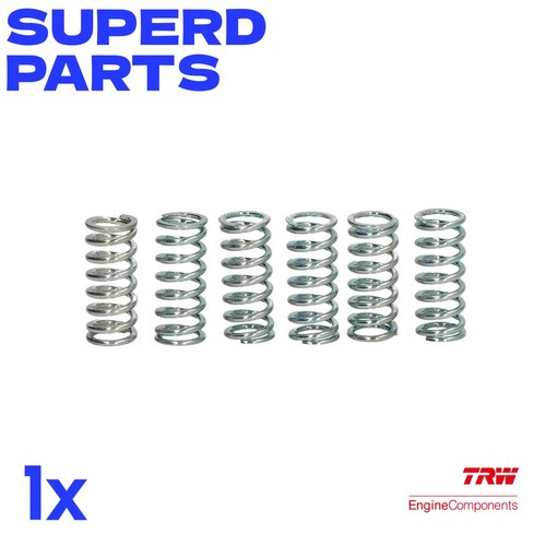 Clutch springs set fits - clutch,