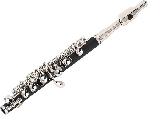 Professional piccolo - c,