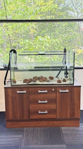Fish tank 100x50x50cm - , and