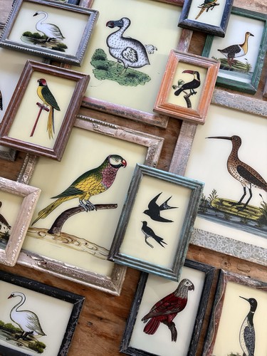 Bird reverse glass paintings - bird,