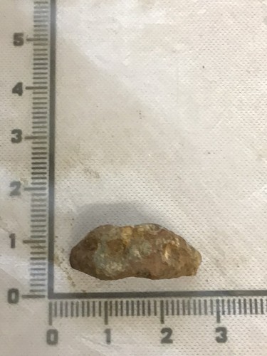 Roman ring metal detecting - roman,
