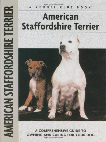 American staffordshire terrier - staffordshire,