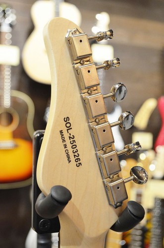 Schecter ctm bpg blk - schecter, bpg/blk/r