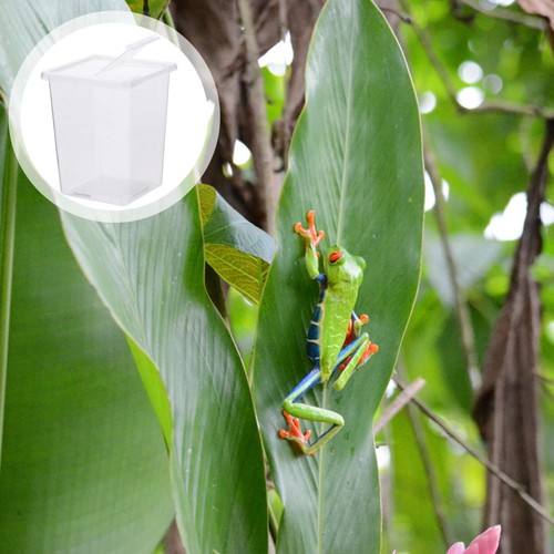 Pcs reptile egg - pcs,