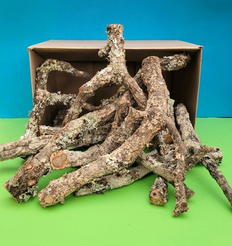 Cork bark branches 5kg box - bark, 2.5kg