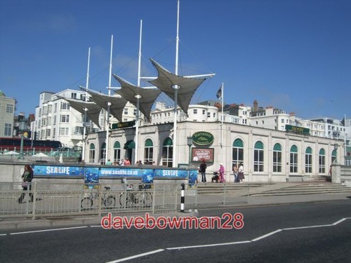 Photo sealife centre brighton - photo,