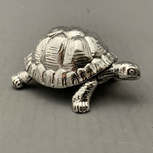 Silver tortoise fully - silver,