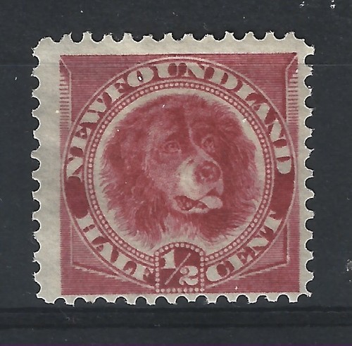 Newfoundland 1887 56 - 1887, #56