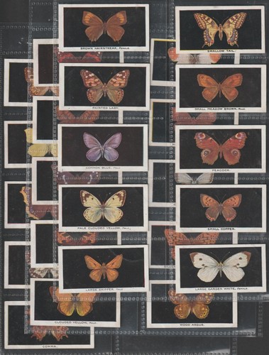 Phillips cigarette card set - phillips,