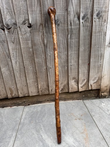 Antique rustic hedge wood - rustic,