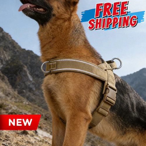 Tactical pull dog - tactical, no