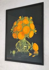 Vintage Barba Tate Chrysanthemum High Gloss Print on Ply Board Framed 69 X 54cm 
