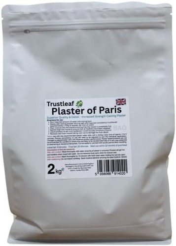 2kg bag plaster - bag, of