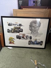 Frame Ayrton Senna Tribute( By Stuart Mcintyre)
