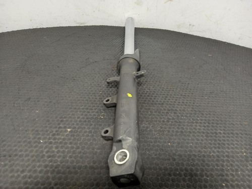 2019 yamaha front fork - 2019,