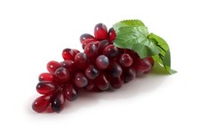 Best Artificial Large Bunch