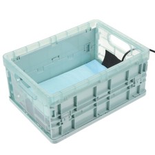 Bird Breeding Incubator Chicks
