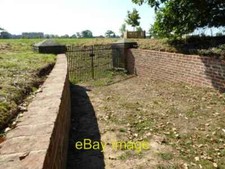 Photo 6x4 Restored cattle