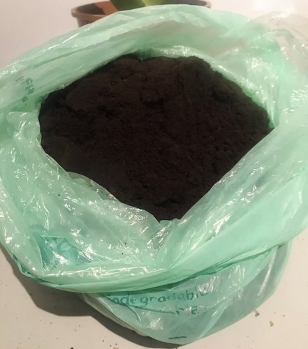 Used coffee grounds for - used,