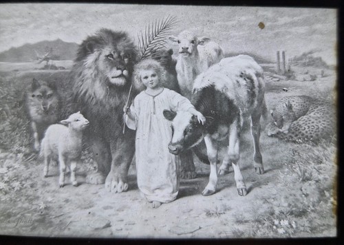 Glass magic lantern slide - slide,