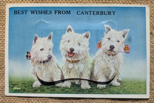 Novelty pullout canterbury - novelty,