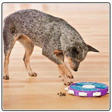 Outward Hound Nina Ottosson