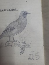 Vintage Hand-Drawn British