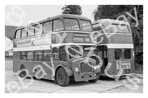 Bus photograph red white - red,