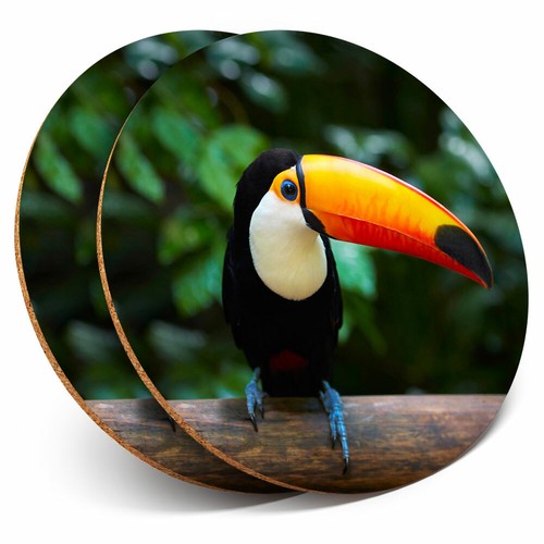 Coasters toucan bird - -,