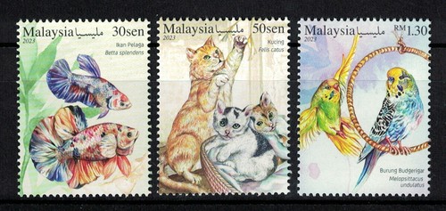 Malaysia 2023 pets cat - pets, (cat,