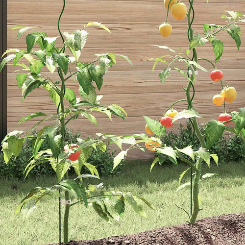 Walplus spiral plant supports - spiral,