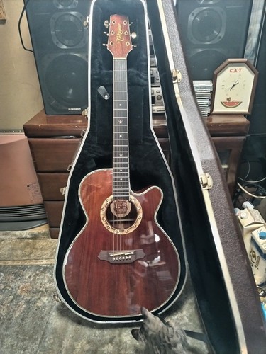 Rare vintage takamine - rare,
