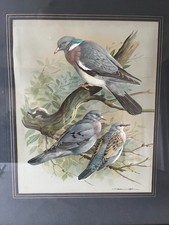 Vintage large framed and