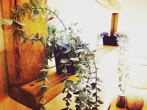 Rustic farmhouse wall mirror - farmhouse,