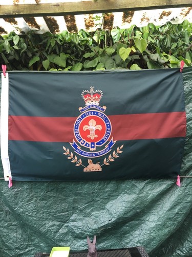 Kings regiment flag - kings, 3