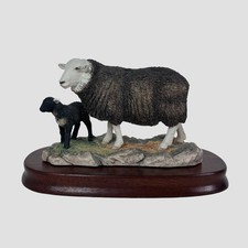 Herdwick Ewe and Lambs Border