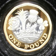 £1 coin silver proof piedfort
