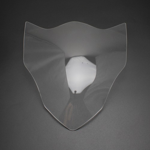 Front headlight lens - lens, guard