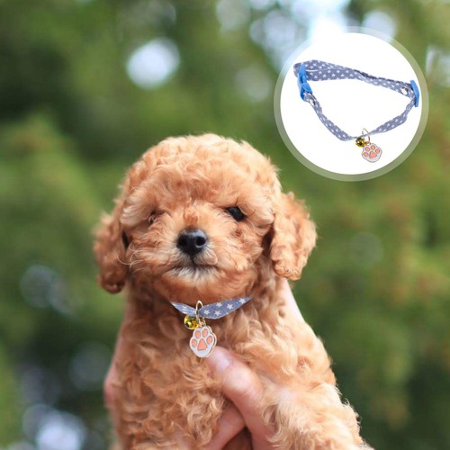 Decorative pet collar kitten - pet,
